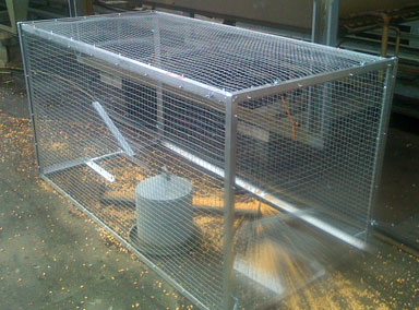Cage de capture pour pigeons