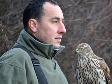 Christophe Puzin fauconniers professionnels et sa Forme d'autour des palombes