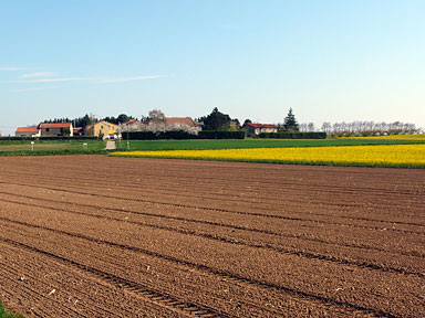 L'effarouchement par rapace : Protection des cultures cralires et fruitires