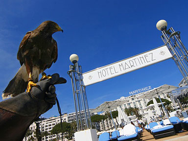 Événementiels et animations à l'hôtel Martinez pendant le Festival de Cannes
