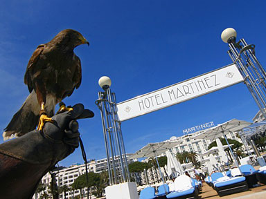 Événementiels et animations  l'htel Martinez pendant le Festival de Cannes