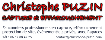 Logo : Christophe PUZIN capture effarouchement fauconnerie