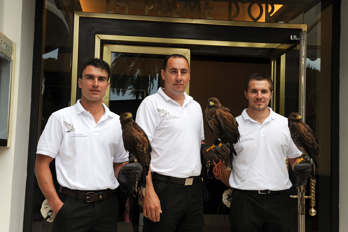 Cliquer pour fermer la fentre -  Evenementiels hotel Martinez Festival Cannes